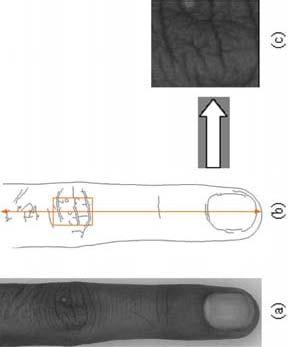 Fingererkennungssystem MerkmalsextrakDons Verfahren A. Kumar, Y. Zhou.