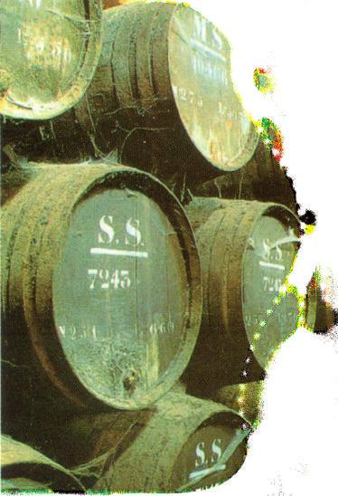 Flaschenweine aus Griechenland Weißweine 164 Gold Cuvèe (L) Flasche 0,75 l 18,00 Michalakis Estate g.g.a. Heraklion Malvasia Aromatica/Moschato Spinas/Chardonnay goldgelbe Farbe, Aromen von Ananas