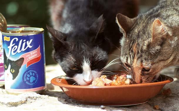 Der Wassergehalt im Feuchtfutter entspricht eher der natürlichen Katzennahrung als die Feuchtigkeit im Trockenfutter. etwas zu haben.