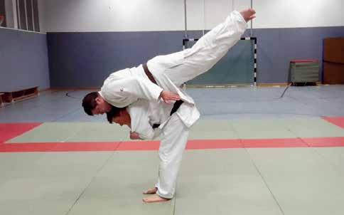 judo umfassendes Koordinationstraining und eine vielseitige Sturz-Prävention und -Kompensation.
