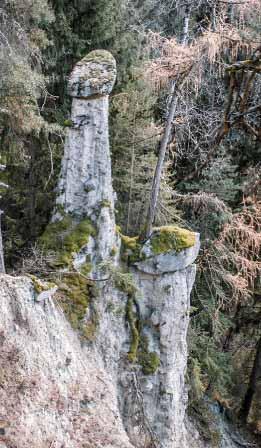 2017 ERDPYRAMIDEN TRADITION ERDPYRAMIDEN WUNDER DER NATUR Die Erdpyramiden im Waldertal zwischen Roppen und Arzl im Pitztal, sind kleine Wunder der Natur.