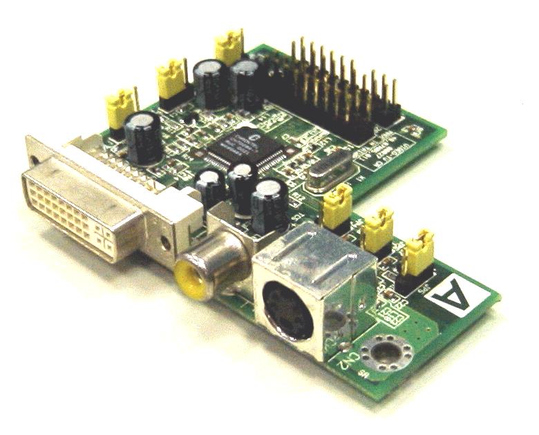 Mit diesem Anschluss und der Riser-Karte können Sie für hohe Bildqualität einen digitalen LCD-Bildschirm mit Ihrem Computer verbinden.