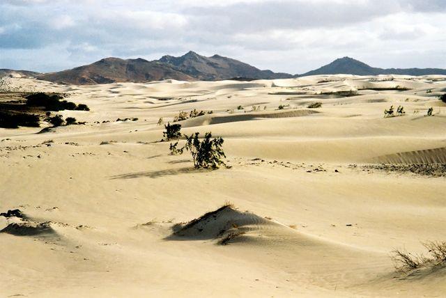 4 M082-252-2-1 Lesen Sie bitte. UN rief in 2006 "Internationales Jahr der Wüste" aus Durch die Wüstenbildung sehen die Vereinten Nationen die Lebensgrundlage von über einer Milliarde Menschen bedroht.