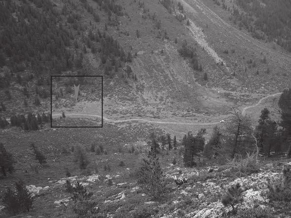 Eine prähistorische Almhütte auf dem Schwarzboden im Maneidtal, Südtirol/Vinschgau 35 Anhöhe ein Mauerzug sichtbar war.