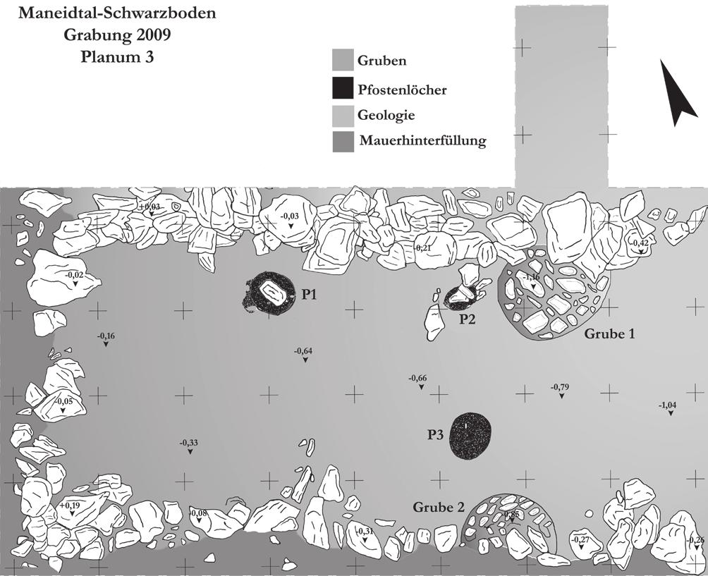 38 Abb. 6. Pfostenlöcher der früheisenzeitlichen Struktur. 2 Fadenkreuze entsprechen 1 m. (Umzeichnung: A. Putzer) Hochgebirge nachgewiesen werden konnten.