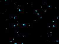 Nachbarstern Proxima Centauri 4