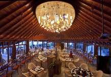 Lassen Sie sich verwöhnen in diesem Paradiesischen Resort. Die zauberhafte Halaveli Insel liegt im Nord-Ari-Atoll.