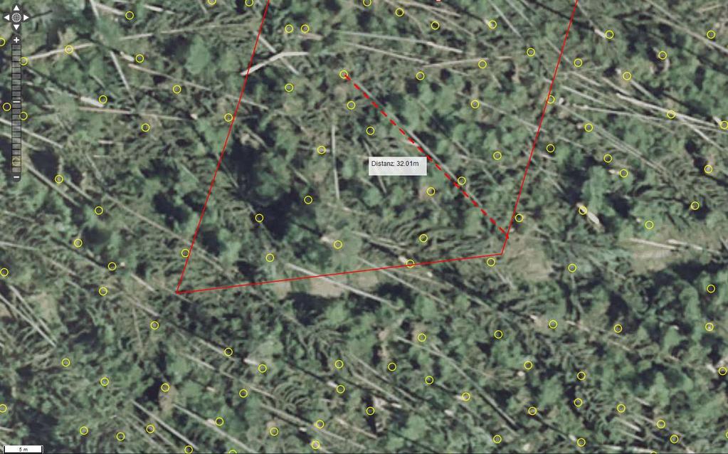 Beispiele aus dem WBV ForstGIS Sturmwurf Röt Luftbild 2012 Messung liegende Stämme im ForstGIS und Vergleich