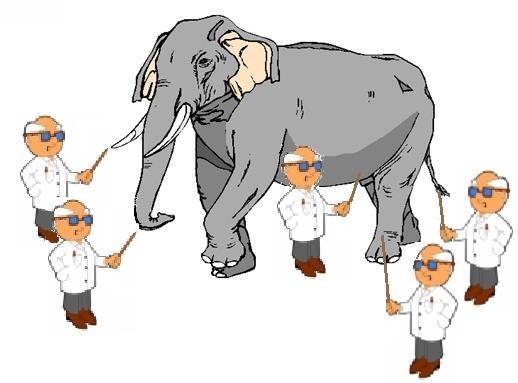 Unternehmensführung I Theorien der Unternehmensführung Ein Elefant hat die Form eines Speeres Nein, ein Elefant ist eher so wie ein dickes Seil Nein, ein Elefant gleicht