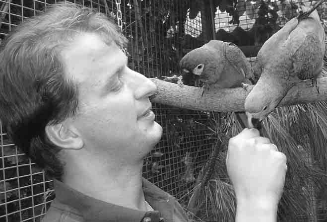 Papageienschutz weltweit E r n e u t e r sensationeller Schlupf des zweiten Spix-Aras im Loro Parque S eit einigen Jahren hält die Loro Parque Fundación auch ein Paar Spix-Aras (Cyanopsitta spixii)