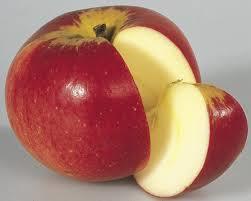 Gesundheit Ein Apfel am Tag Gesundheit ist die wichtigste Voraussetzung für eine glückliche Kindheit und für die schulische Entwicklung jedes Kindes.