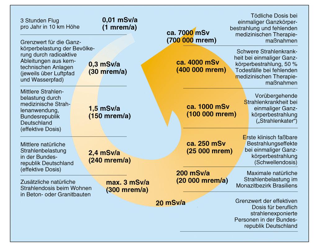 Mindestmenge an Strahlung sehr klein. Mit steigender Strahlungsmenge nimmt bei den Strahlenspätschäden nicht die Schwere der Erkrankung zu, sondern die Wahrscheinlichkeit zu erkranken. Abb. 9.