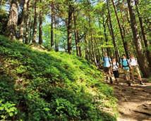 Weitere Ausflugstipps Pfälzerwald Wandern und Radfahren mit Bus