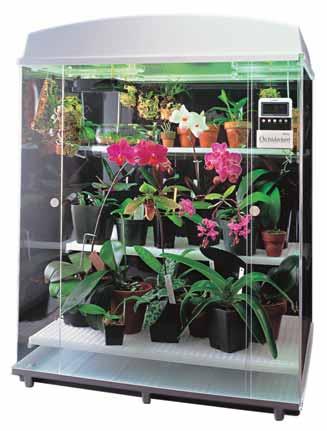 14 Orchideen im Haus Orchideen gedeihen im Haus fast überall. Erfahren Sie alles über die Ansprüche Ihrer Orchideen.