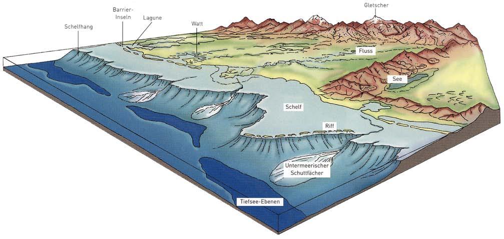 Sedimente, die durch chemische Prozesse oder unter dem Einfluss biologischer