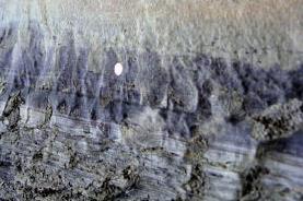 Zur Zeit des Oberen Muschelkalks fegten über eine Tornadostraße im Bereich der Schlesischen und Burgundischen Pforte regelmäßig heftige Stürme ins Binnenmeer.