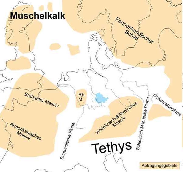 Die Entwicklung des Germanischen Beckens im Muschelkalk Golf-