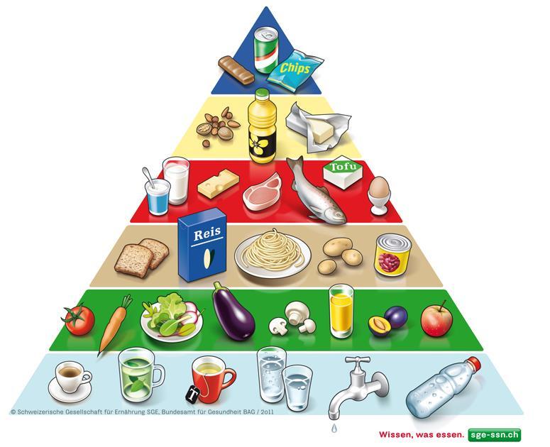 Kohlenhydrate in der Ernährungspyramide Diskussion: Wo in der
