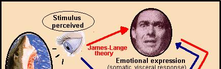 Die James-Lange-Theorie Gefühle entstehen aus dem sensorischen Feedback viszeraler Antworten auf