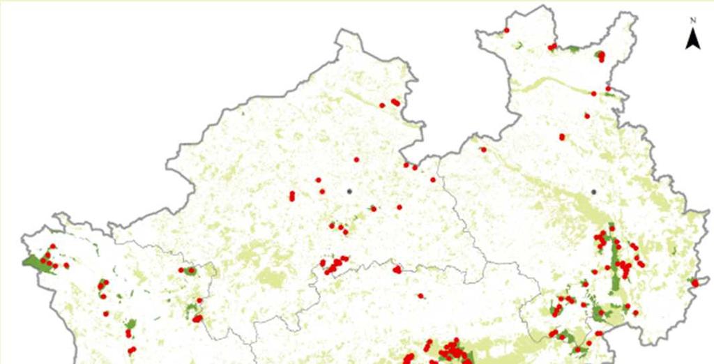 Wildniswälder in NRW - 100 Wildniswälder im