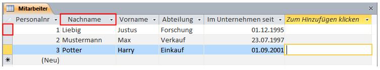 158) oder in der Datenblattansicht (Abb. 159) tun.