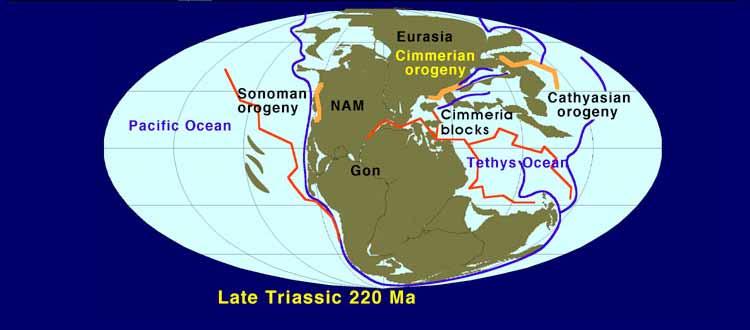 Trias (250-205 Mio Jahre) Mit Trias bezeichnete Friedrich von Alberti 1834 die unterste Formation des Erdmittelalters, weil er die