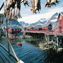 An diesem Außenposten der unberührten Wildnis stoßen Sie auf Natur pur: majestätische Berge, tiefe Fjorde, kreischende Seevogelkolonien und weite, von der Brandung umspülte Strände.