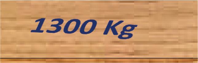 Die Kite it 1300kg chwer, 1600mm