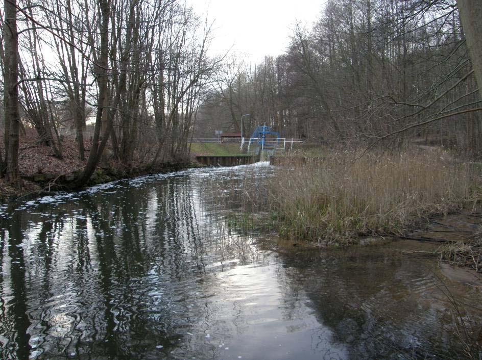 Laut WSA-Informationstafel schwanken die Unterwasser-Stände am Standort Wolfswinkel zwischen 19,86 und 20,33 m und die Oberwasserstände zwischen 22,59 und 22,88 m ü. NN.