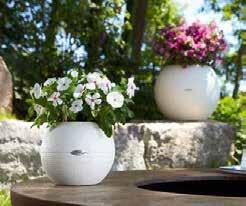 Ein rundum gelungener Auftritt! The new spherical planter featuring a textured surface structure offers just the right plant volume for the wide range of table-sized plants.