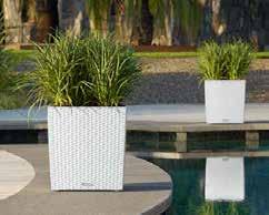 The architectural shape of the CUBE Cottage planter offers tremendous plant volume in an interchangeable planter liner. FARBE COLOR NR. NO.