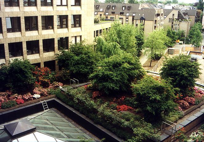 Gegenmaßnahmen: Vegetation als bestes Mittel!