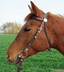 harness leather, with V-browband, without reins Farben: natur/nature 69570 Knotenhalfter, PP Kordel
