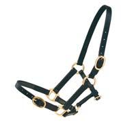 schwarz/silber, schwarz/gold Halter Silver/Gold exclusive leather halter, 3-times adjustable with snap, noseband and neckstrap extra softly and thickly padded, fittings