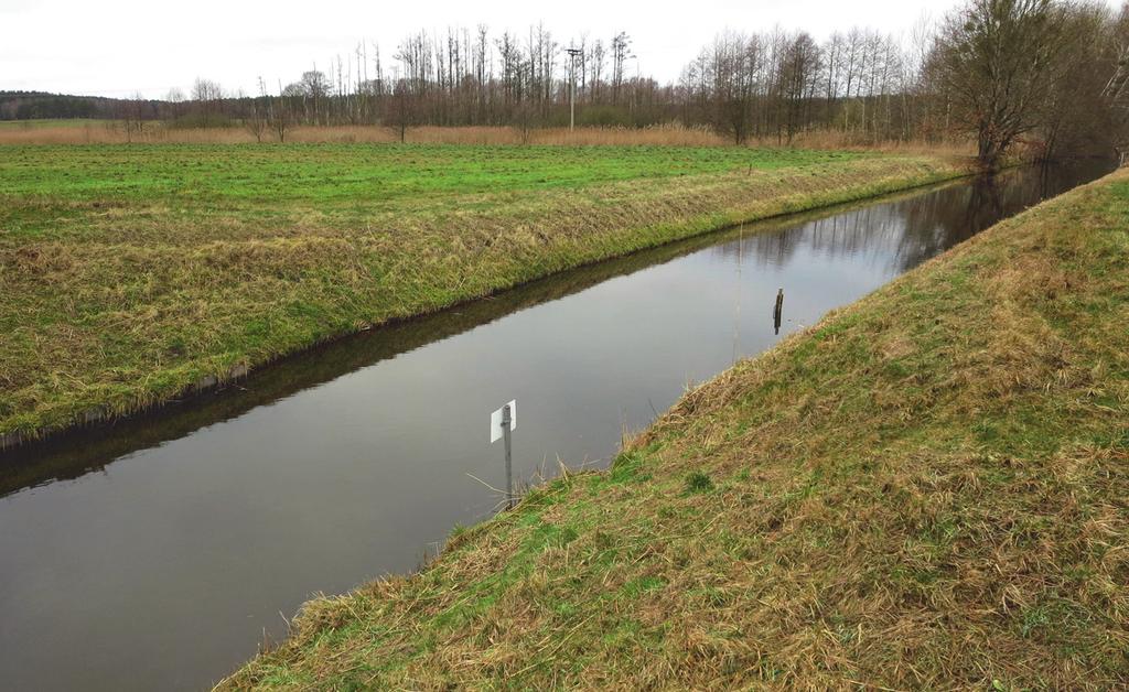 62 Heute ist die Wasserqualität von Käbelicksee und Zotzensee erheblich verbessert (Daten des Nationalparkamtes). Die Nährstoffbelastung im Röthsee ist heute noch sichtbar.