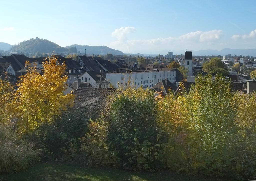 2 WOHNEN AM SCHLOSSBERG LENZBURG STAND 2015/10/28 Ausblick von