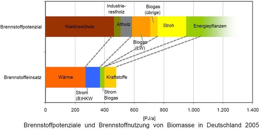 Das Potenzial der Biomasse in der Real existierenden