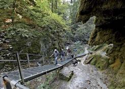 Unternehmen Sie einen Ausflug in reizvolle Naherholungsgebiete wie die Jurakette, Aare oder der 3-Seen-Landschaft.