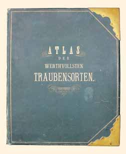 Der Atlas der Traubensorten von Hermann u.