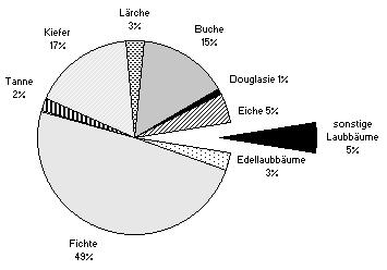 Abb. 4: Anteile der Baumarten im bayerischen Staatsforst Bei der Altersklassenverteilung ist festzustellen, daß besonders die jüngeren Altersklassen bis 40 Jahre deutlich