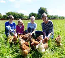 20 2. August 2017 Lokales Eutin Anzeige Mobile Bio-Hühner-Haltung fürs Hühnerwohl: Frische Bio-Eier selber sammeln Auf dem Hof Frohberg fühlen sich die Bio-Hühnerdamen wohl und legen leckere Eier