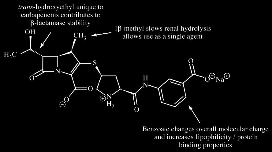 The chemical structure of ertapenem sodium Hammond M L