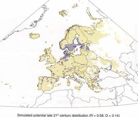 2 simulierte Verbreitungssituation des Rotmilans in Europa für das späte 21.