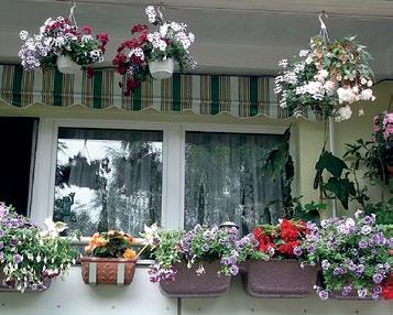 Wir freuen uns über die Fotos Ihrer bunten Blumenpracht. Sie macht unsere Stadt attraktiver, farbenfroher und lebendiger. Lassen Sie uns an Ihrer Blütenpracht und Freude über Ihren Balkon teilhaben!