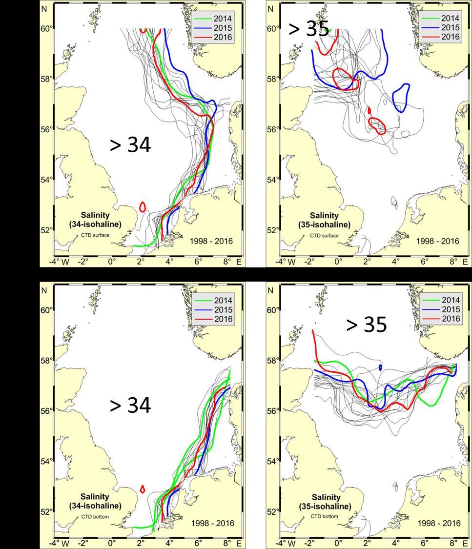Abb. 2: Positionen der 34 (links) und 35 (rechts) psu Isohalinen 1998 2016 für die Oberflächen- (oben) und Bodenschicht (unten). Rot: 2016, blau: 2015, grün: 2014, grau: 1998-2013. Fig.