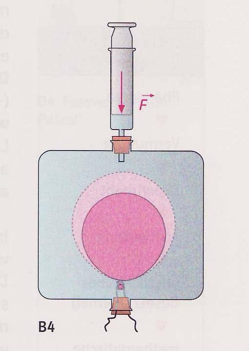 Beispiel 2: Die Verteilung des Drucks auf einen Luftballon im Wasser Lernziel: Der