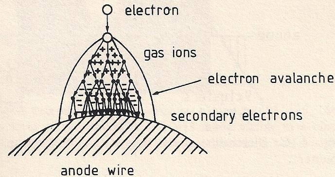 Myonsystem zylindrische Anordnung der Elektroden bewirkt Feldverstärkung im Anodenbereich Primärelektronen werden