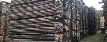 Unsere Einschnitt-Ware steht je nach Holzstärke zwischen 9 und 18 Monaten auf Stock, um vorzutrocknen und auszuruhen.