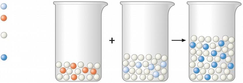 a) Formuliere die Reaktionsgleichungen in Ionenschreibweise. b) Beschreibe die Produkte der Reaktionen. Säure Lauge KK8.