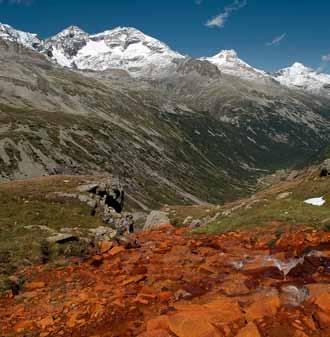 Geologie Bergwald Der Zillertaler Hauptkamm gehört zur Zahlreiche zum Teil seltene Minerale Der Naturpark erstreckt sich von In Steilrinnen, Gräben und Schwemm Zentralgneiszone mit hartem Gestein.